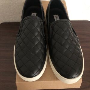 Steve Madden slip ons